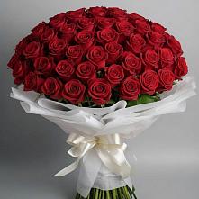 Букет 101 Красная роза Блэк Мэджик #REPLACE_PRED# Малой Джалге