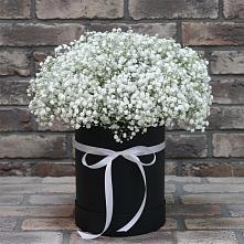 Цветочная композиция из Гипсофила в шляпной коробке #REPLACE_PRED# Малой Джалге