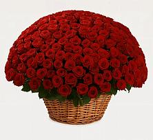 Премиум букет из: Розы #REPLACE_PRED# Малой Джалге