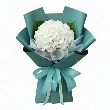 Букет цветов из:  Гортензия #REPLACE_PRED# Малой Джалге